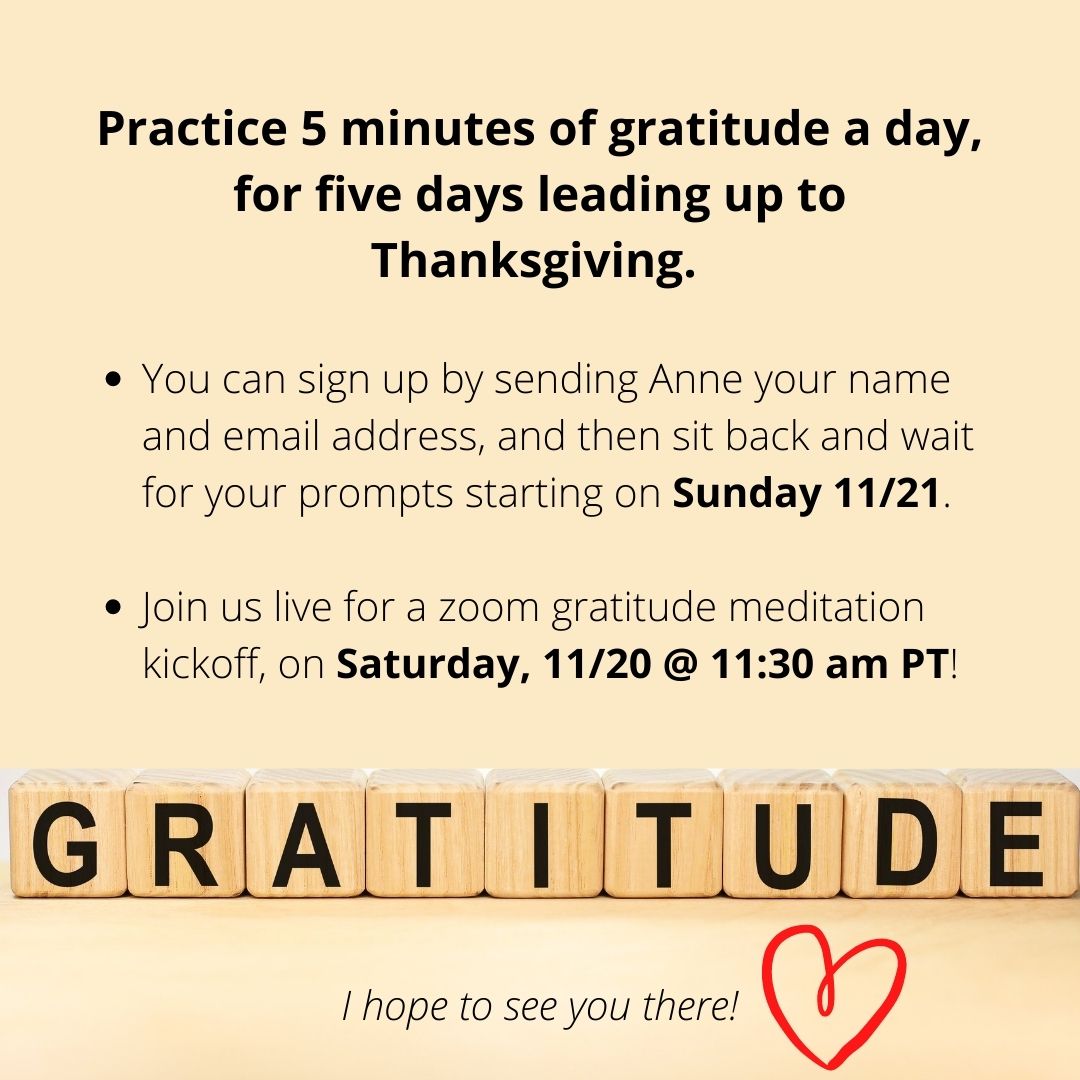 Gratitude Experience begins November 21st!